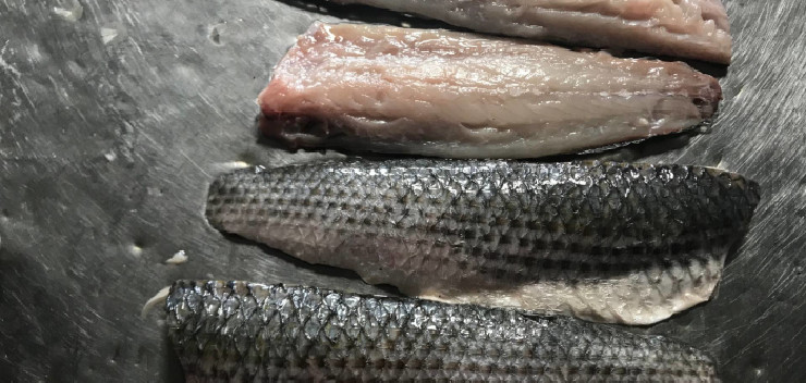 mullet fillet (1) .jpg